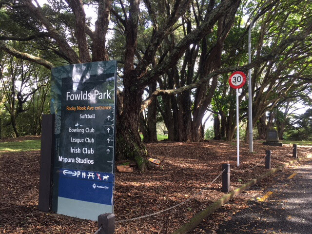 Fowlds Park in Mt Albert Fowlds Park