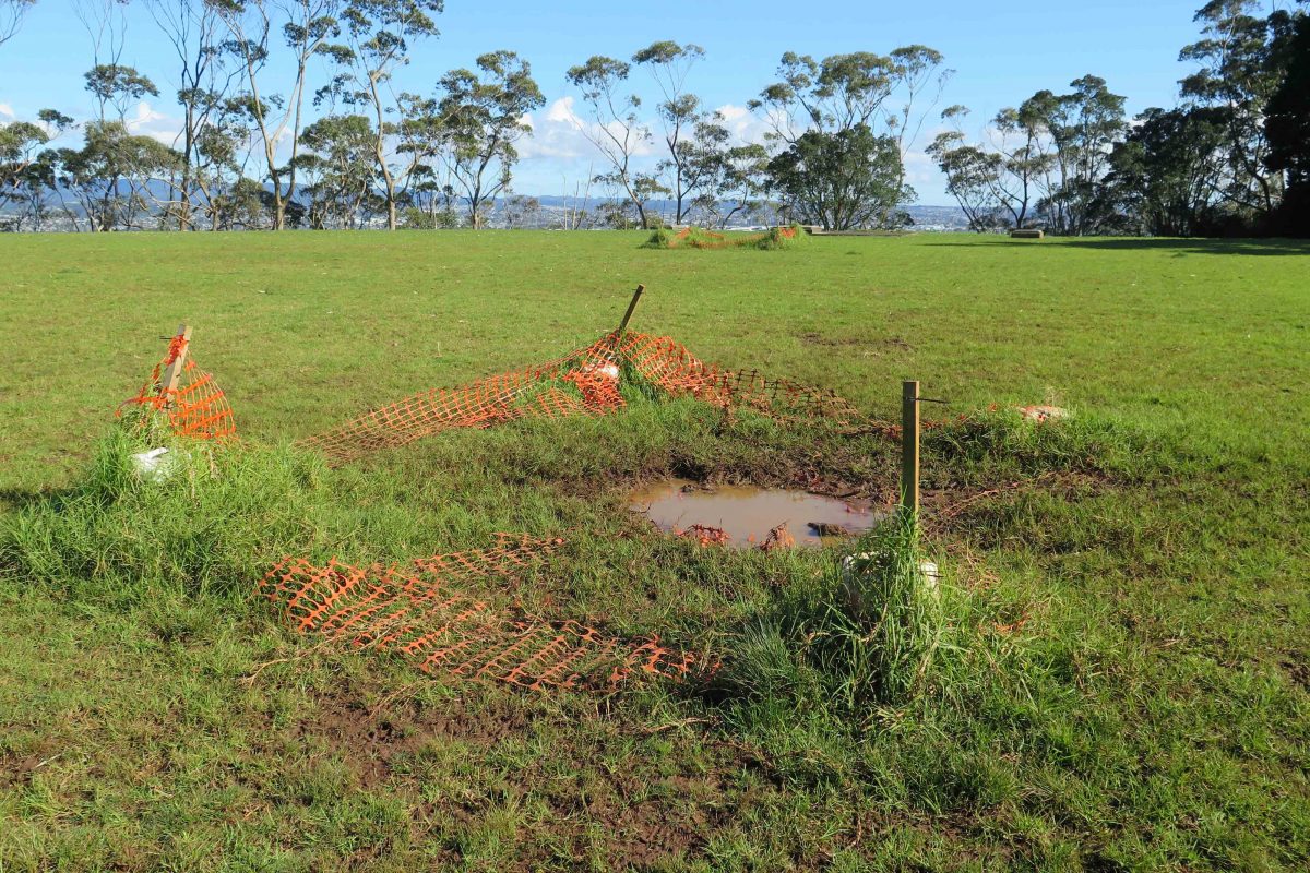Mountain top mud pool The bog on top of the mountain in Mt Albert